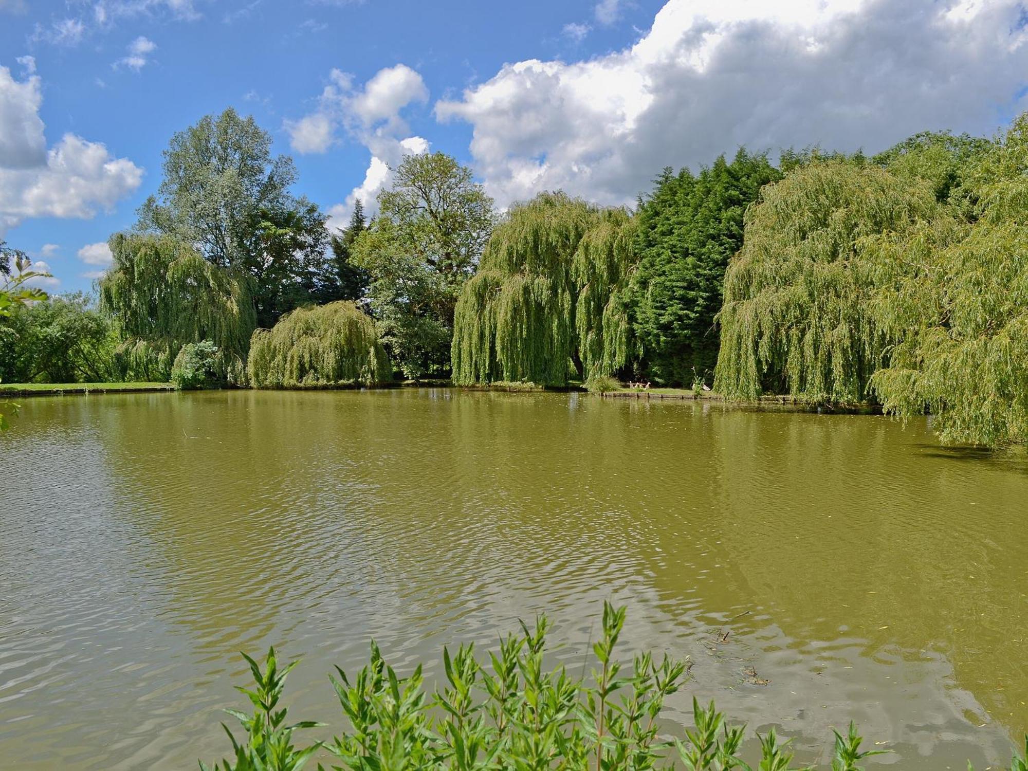 Lake House Cottage Finchingfield エクステリア 写真